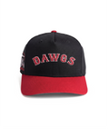 Georgia Go Dawgs 5 Panel A-Frame Hat